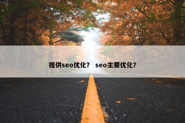 提供seo优化？ seo主要优化？
