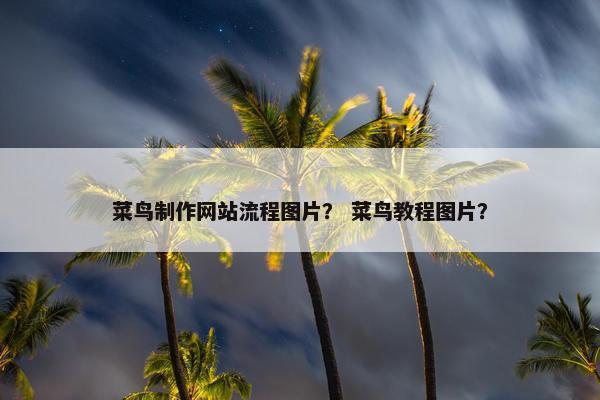 菜鸟制作网站流程图片？ 菜鸟教程图片？