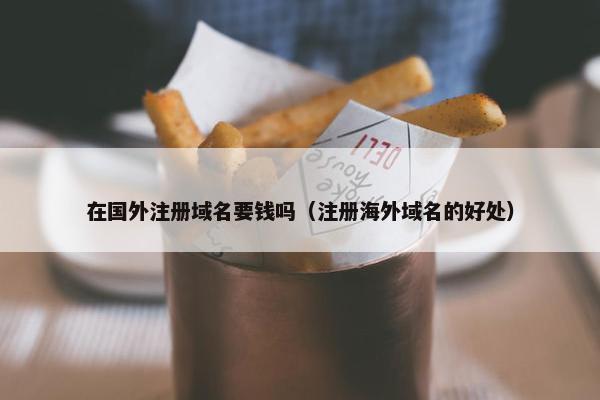 在国外注册域名要钱吗（注册海外域名的好处）