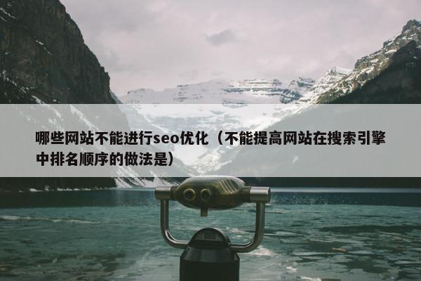 哪些网站不能进行seo优化（不能提高网站在搜索引擎中排名顺序的做法是）