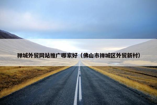 禅城外贸网站推广哪家好（佛山市禅城区外贸新村）
