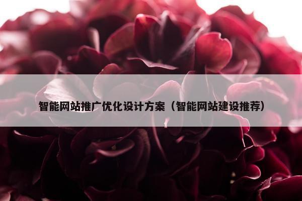 智能网站推广优化设计方案（智能网站建设推荐）