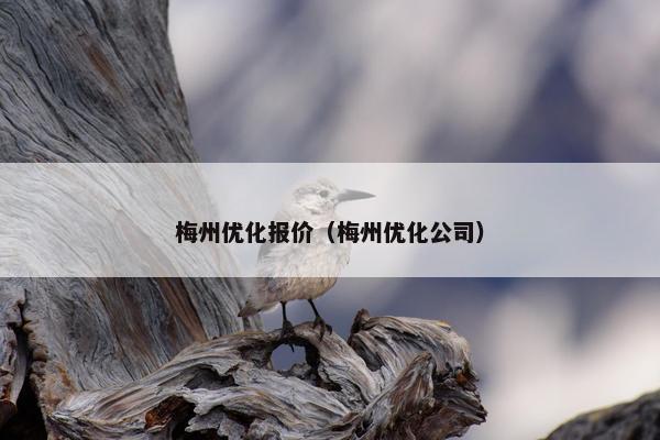 梅州优化报价（梅州优化公司）