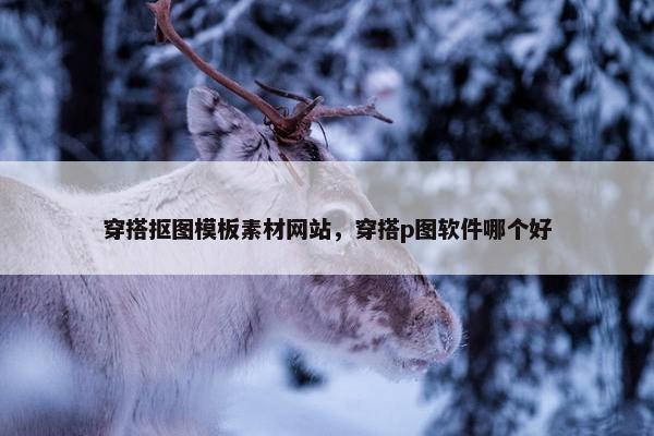 穿搭抠图模板素材网站，穿搭p图软件哪个好