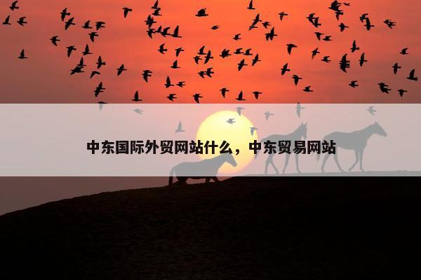 中东国际外贸网站什么，中东贸易网站