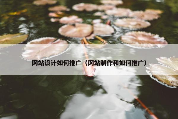 网站设计如何推广（网站制作和如何推广）