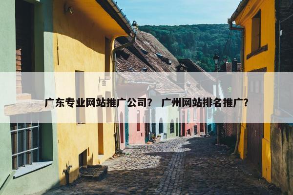 广东专业网站推广公司？ 广州网站排名推广？