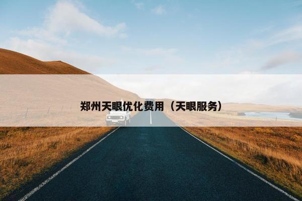 郑州天眼优化费用（天眼服务）