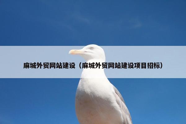 麻城外贸网站建设（麻城外贸网站建设项目招标）