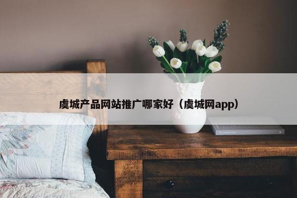虞城产品网站推广哪家好（虞城网app）