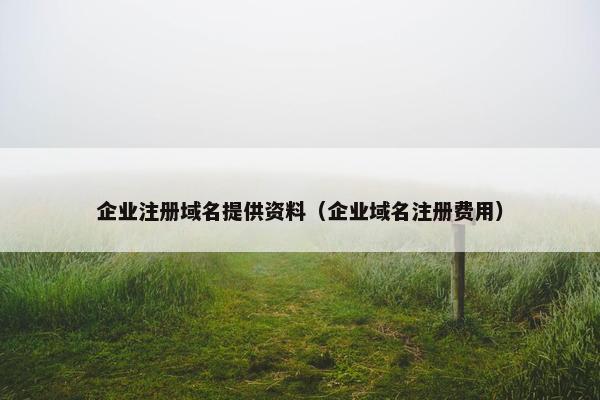 企业注册域名提供资料（企业域名注册费用）