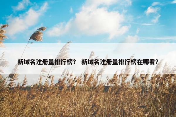 新域名注册量排行榜？ 新域名注册量排行榜在哪看？