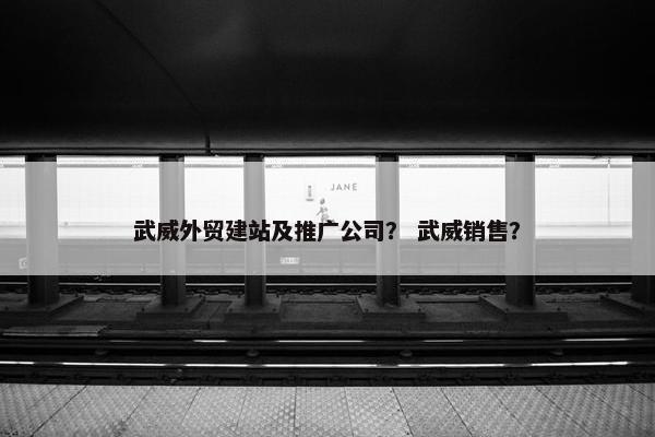 武威外贸建站及推广公司？ 武威销售？