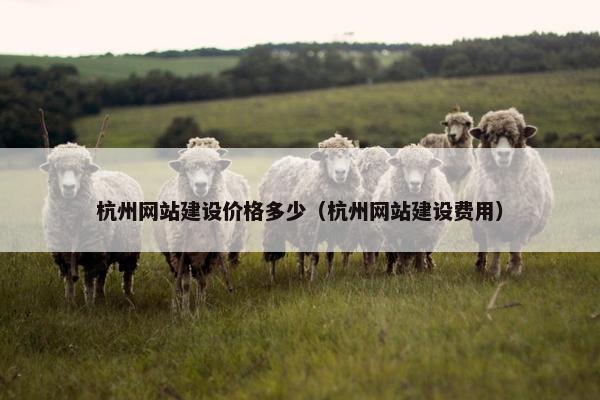 杭州网站建设价格多少（杭州网站建设费用）