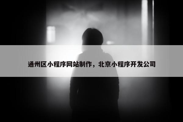 通州区小程序网站制作，北京小程序开发公司