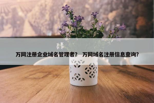 万网注册企业域名管理者？ 万网域名注册信息查询？