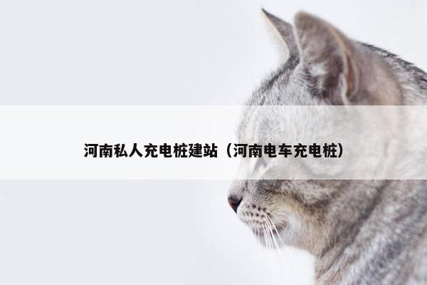 河南私人充电桩建站（河南电车充电桩）