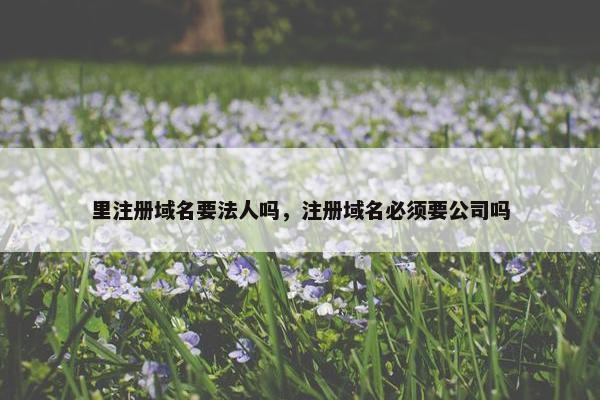 里注册域名要法人吗，注册域名必须要公司吗