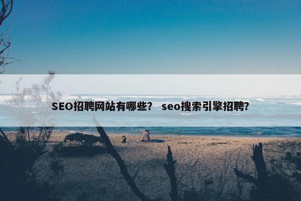 SEO招聘网站有哪些？ seo搜索引擎招聘？