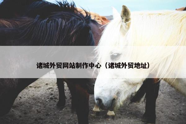 诸城外贸网站制作中心（诸城外贸地址）