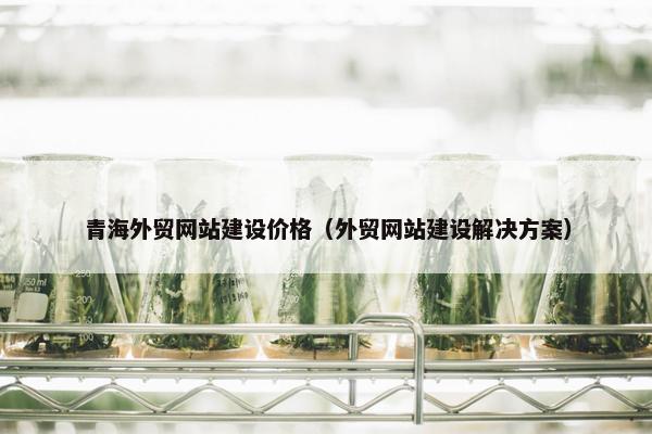 青海外贸网站建设价格（外贸网站建设解决方案）