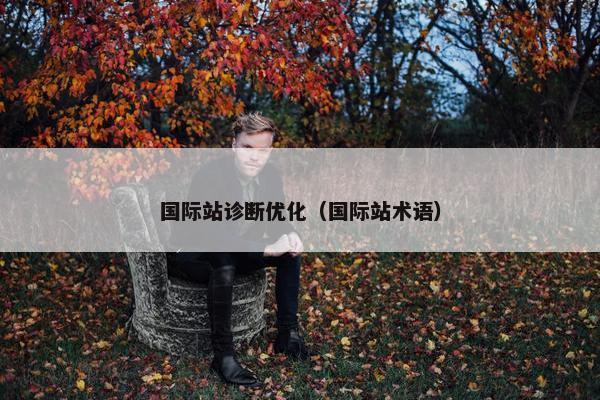 国际站诊断优化（国际站术语）