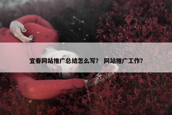 宜春网站推广总结怎么写？ 网站推广工作？