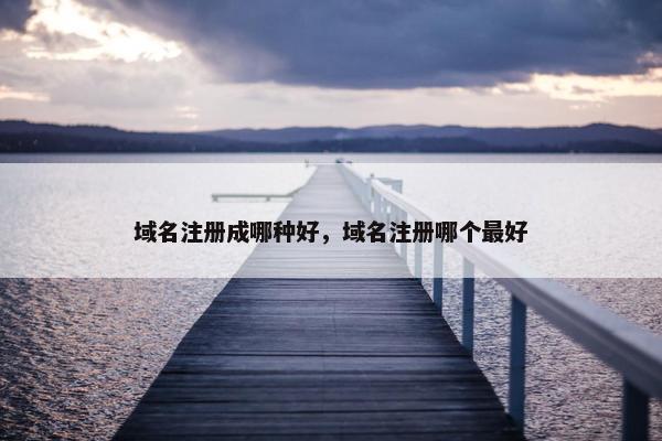 域名注册成哪种好，域名注册哪个最好