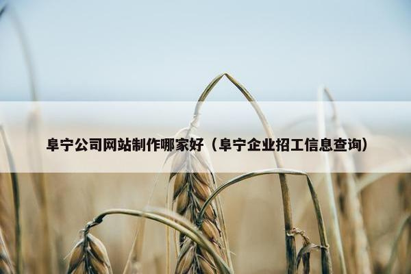 阜宁公司网站制作哪家好（阜宁企业招工信息查询）