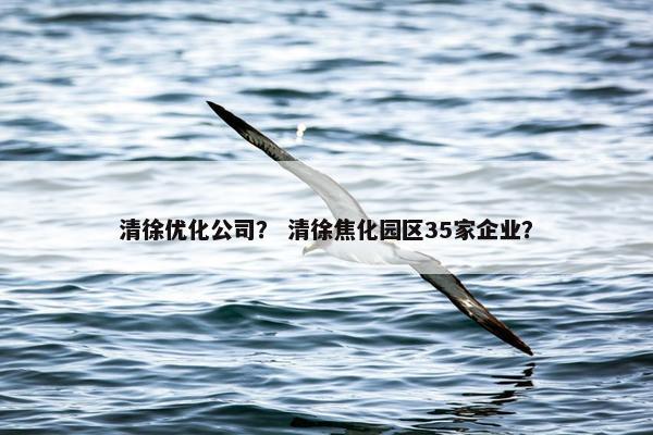 清徐优化公司？ 清徐焦化园区35家企业？