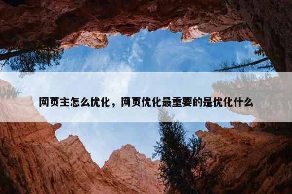 网页主怎么优化，网页优化最重要的是优化什么