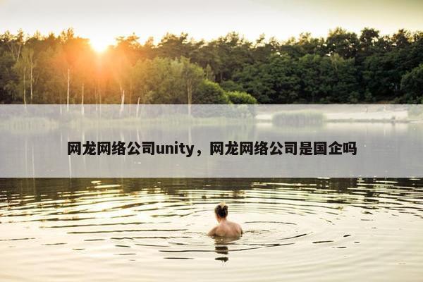 网龙网络公司unity，网龙网络公司是国企吗