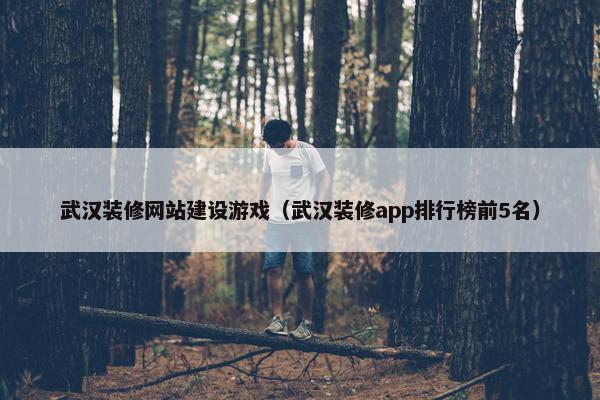 武汉装修网站建设游戏（武汉装修app排行榜前5名）
