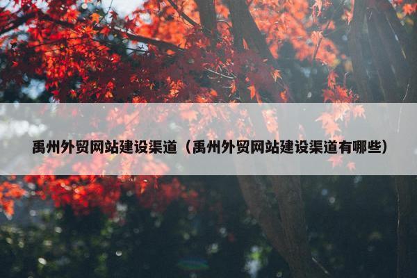 禹州外贸网站建设渠道（禹州外贸网站建设渠道有哪些）