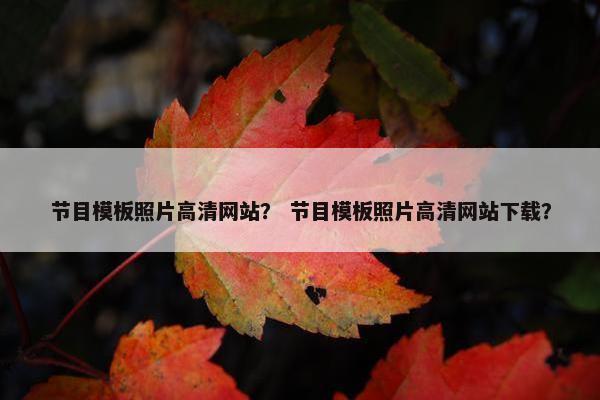 节目模板照片高清网站？ 节目模板照片高清网站下载？