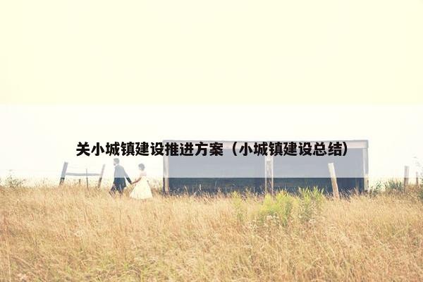 关小城镇建设推进方案（小城镇建设总结）