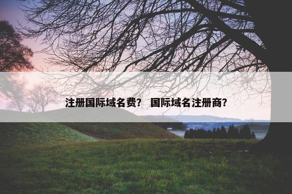 注册国际域名费？ 国际域名注册商？