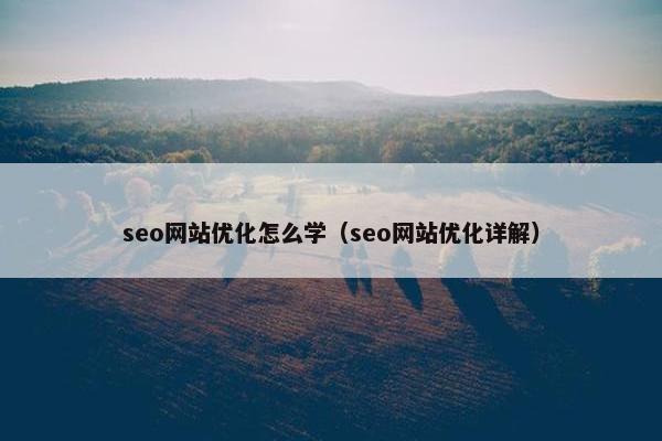 seo网站优化怎么学（seo网站优化详解）