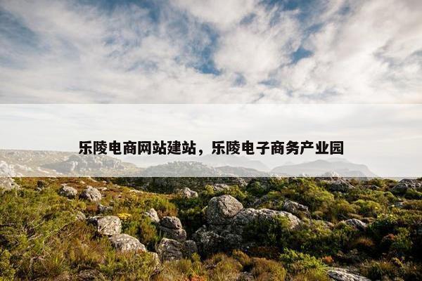 乐陵电商网站建站，乐陵电子商务产业园
