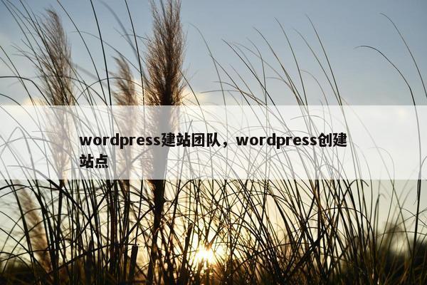 wordpress建站团队，wordpress创建站点