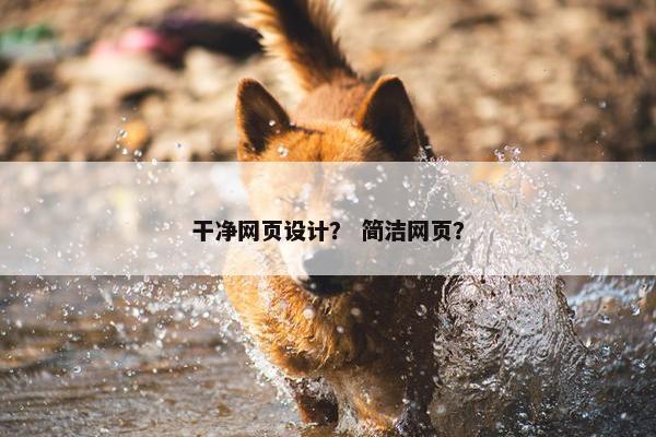 干净网页设计？ 简洁网页？