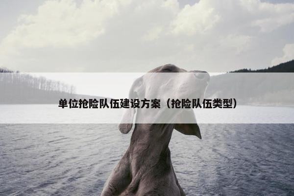 单位抢险队伍建设方案（抢险队伍类型）