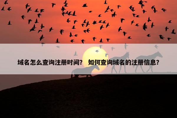 域名怎么查询注册时间？ 如何查询域名的注册信息？