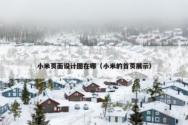 小米页面设计图在哪（小米的首页展示）