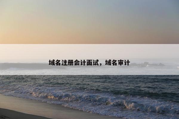 域名注册会计面试，域名审计