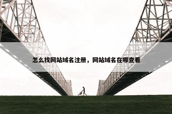 怎么找网站域名注册，网站域名在哪查看