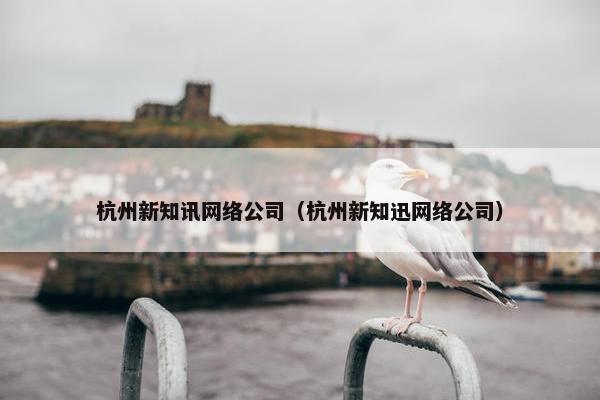 杭州新知讯网络公司（杭州新知迅网络公司）