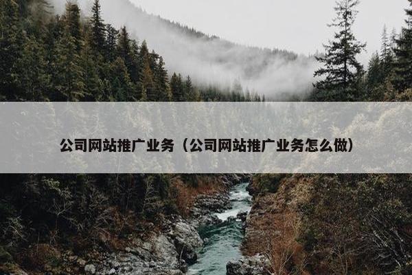 公司网站推广业务（公司网站推广业务怎么做）