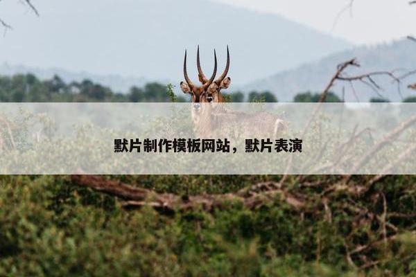 默片制作模板网站，默片表演