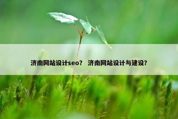济南网站设计seo？ 济南网站设计与建设？